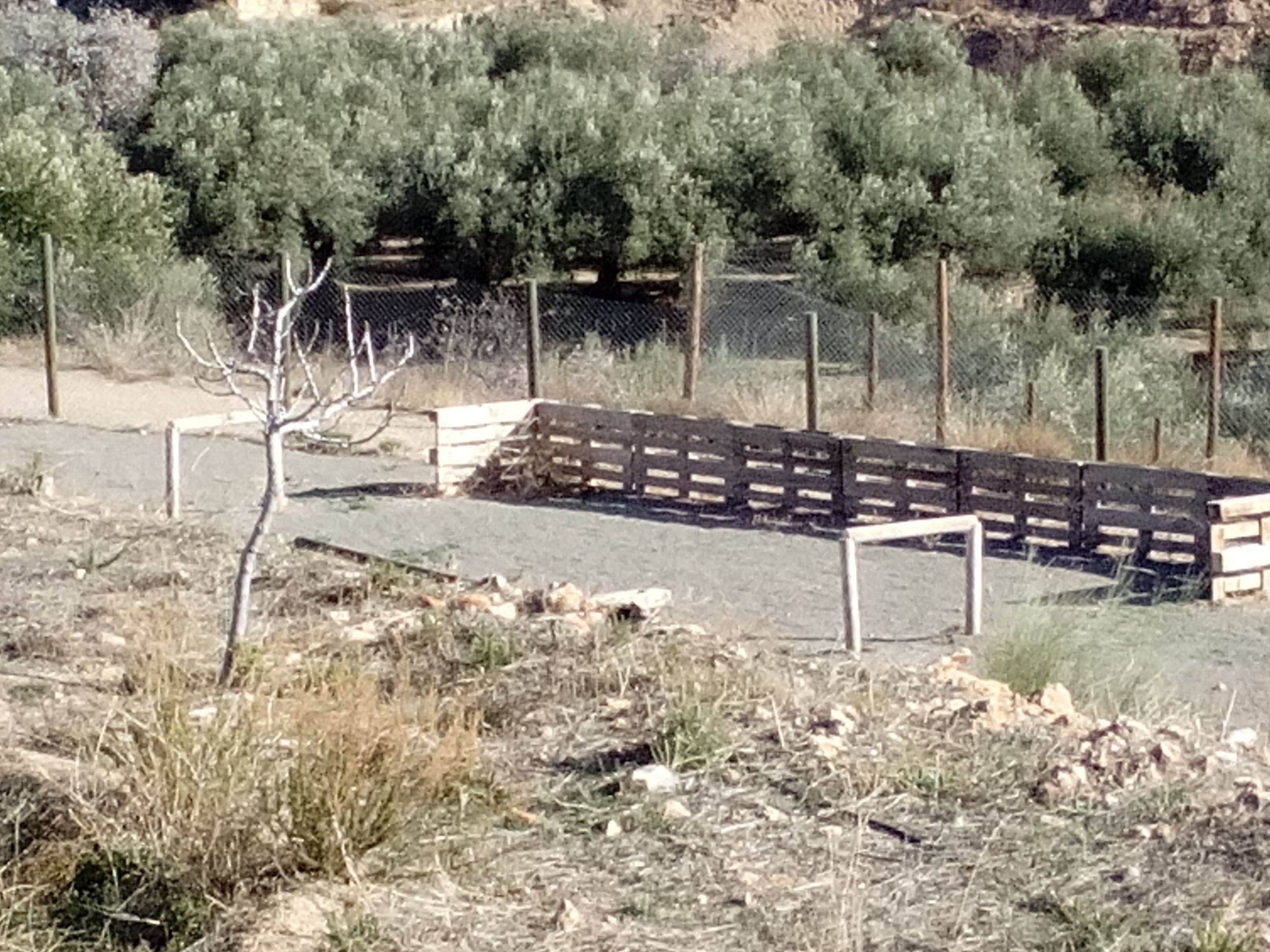 Un espacio al aire libre cercado con un banco de madera y un pequeño árbol.
