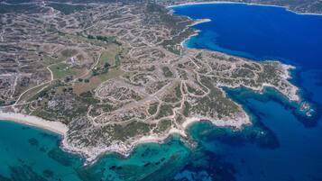 بالقرب من الشاطئ