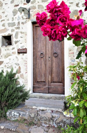 Departamento, 1 habitación | Terraza o patio