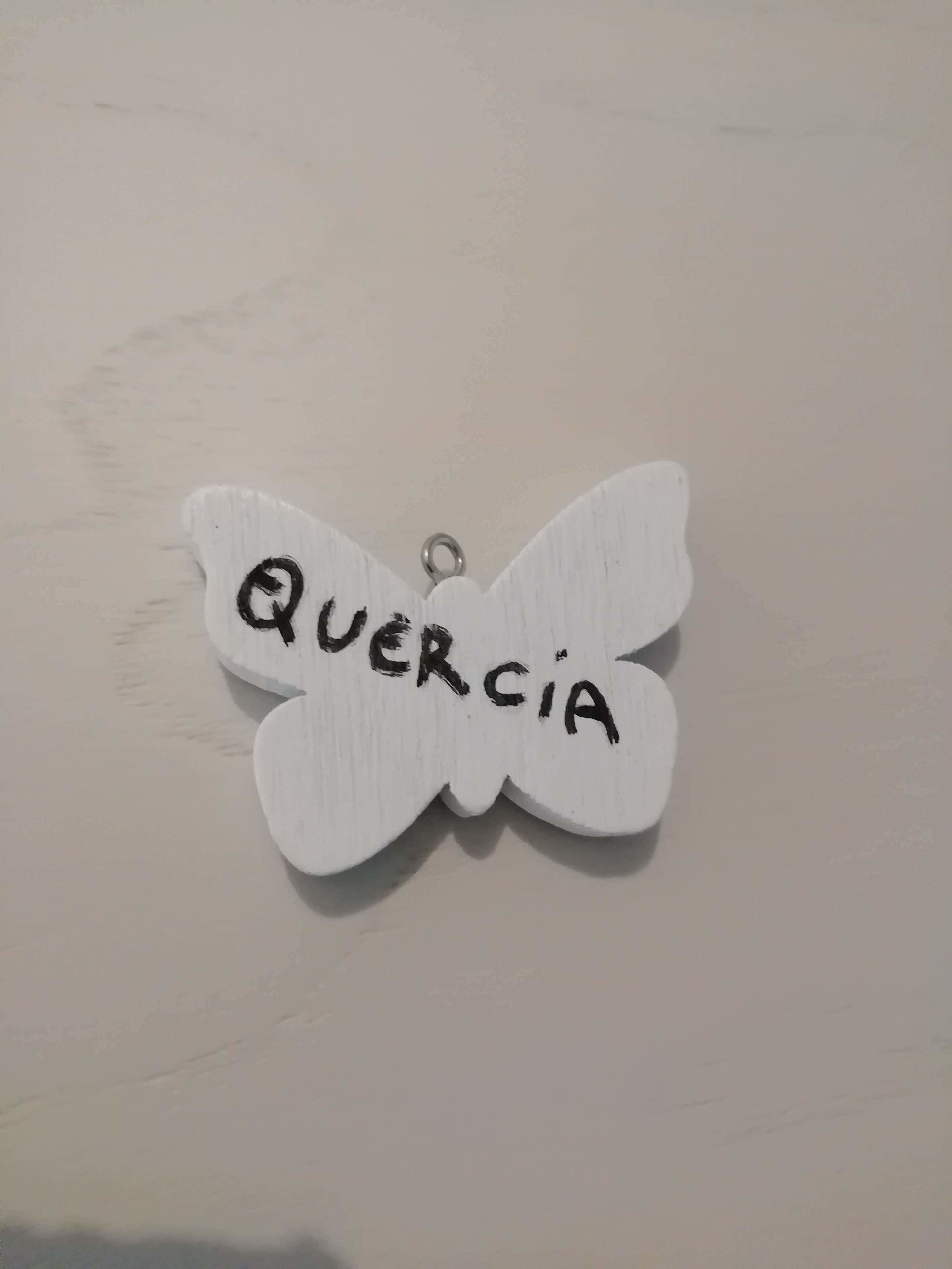 Foto - In campagna da Nino