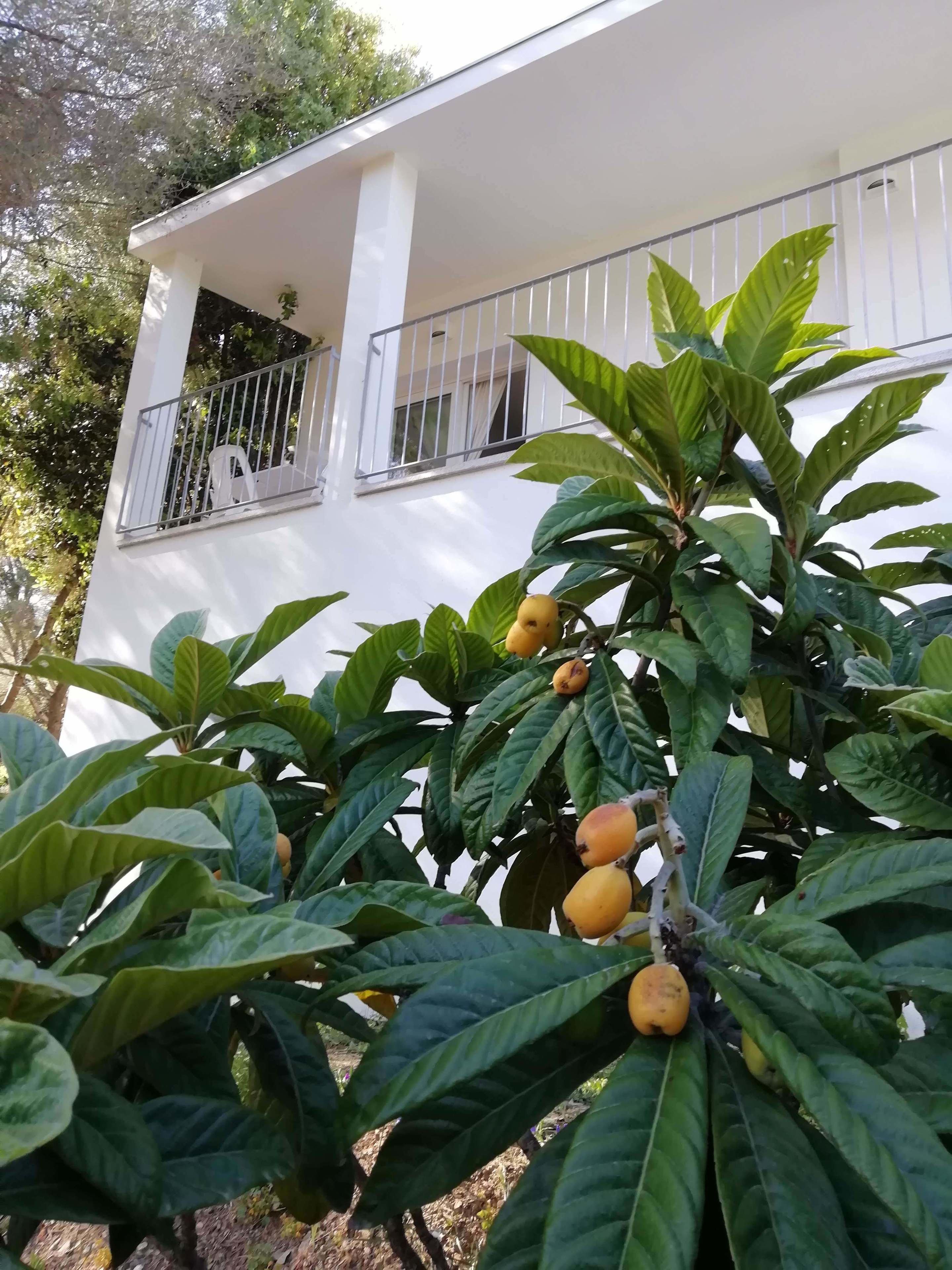 Vistas al campo desde el alojamiento