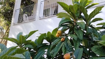 Vistas al campo desde el alojamiento