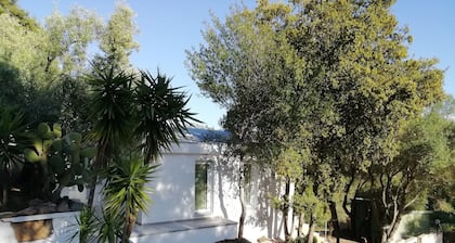 In Campagna da Nino