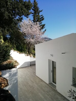 A modern building with a white exterior, a paved courtyard, and a cherry blossom tree. - In Campagna da Nino (Olbia)