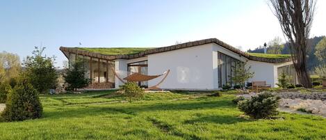 A modern house with a sloped roof, large windows, and a grassy yard with a hammock.
