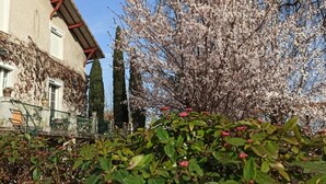 Un edificio con fachada de piedra, un balcón con barandilla metálica y un árbol con flores rosadas en primer plano.