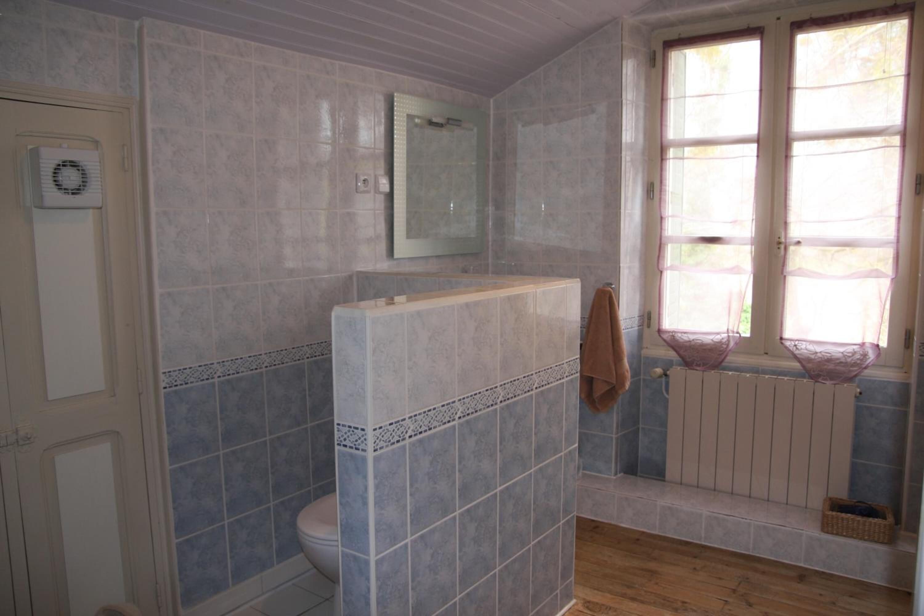 A bathroom with a shower, toilet, and a window with a view.