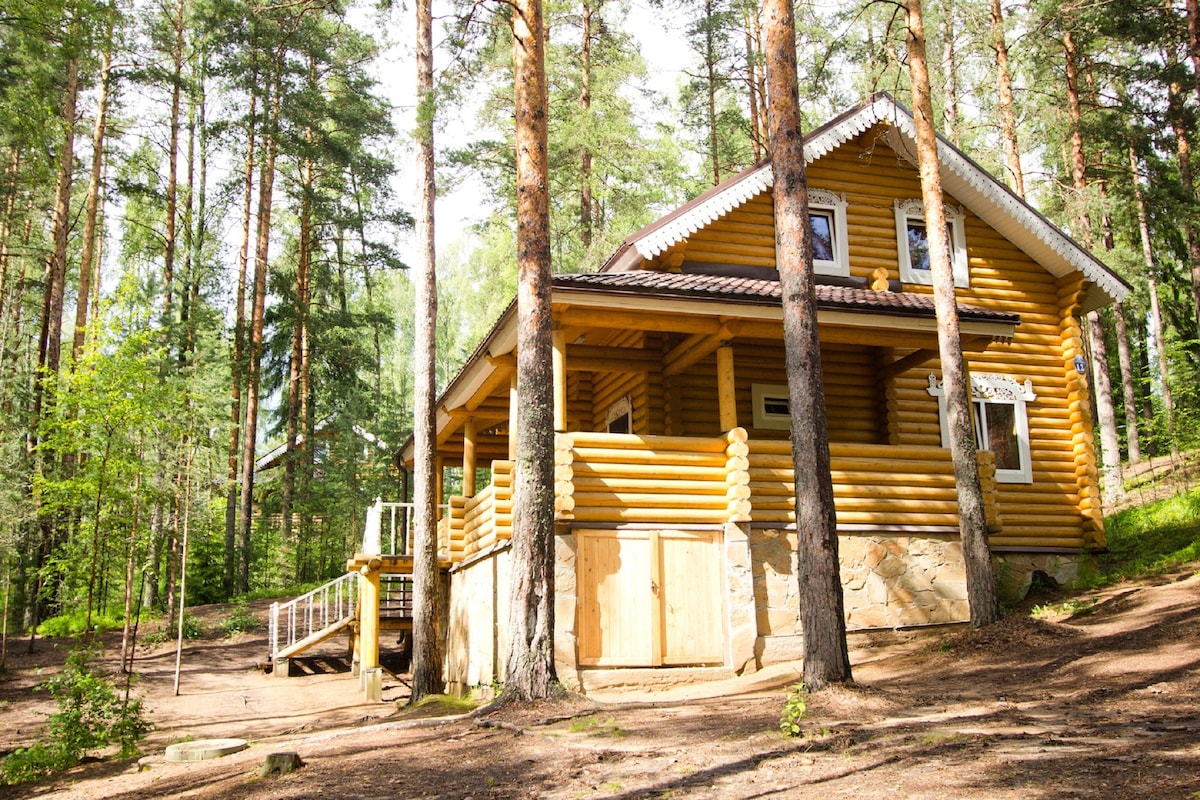 A log cabin with a porch and a staircase, surrounded by tall trees.