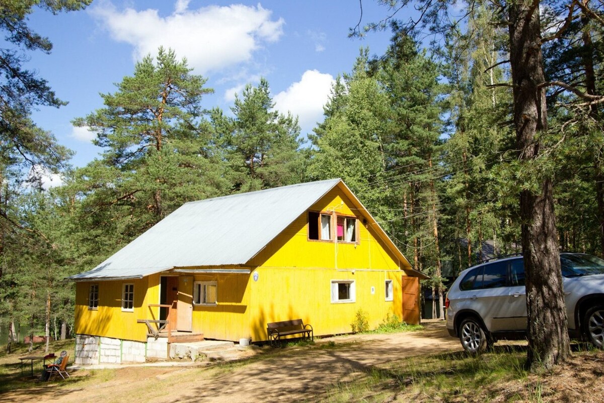 A yellow cabin with a metal roof, surrounded by trees, and a car parked nearby.