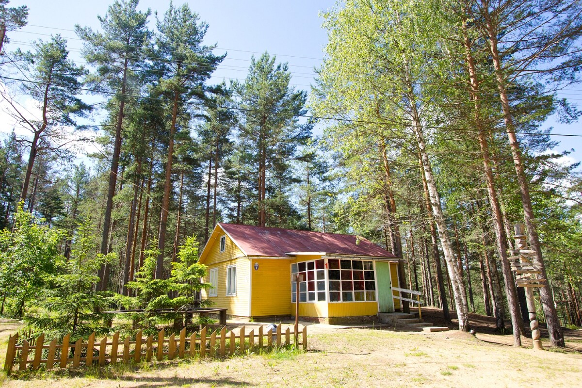 A yellow cabin with a red roof surrounded by tall pine trees.