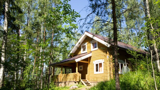 A log cabin surrounded by dense forest. - Baza otdikha Zhuravushka (Sosnovskoye)