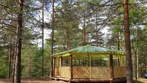 A wooden gazebo with a green roof, surrounded by tall pine trees in a forest. - Baza otdikha Zhuravushka (Sosnovskoye)