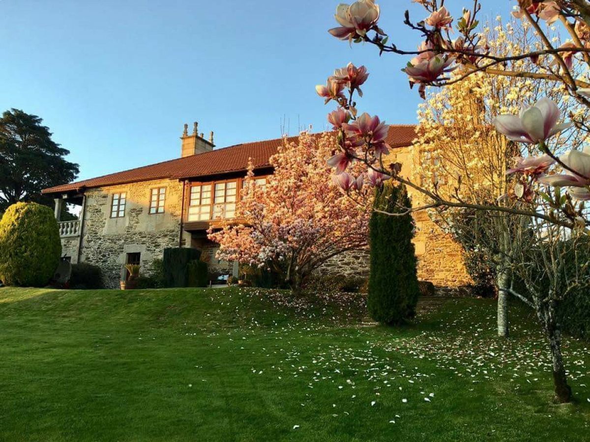 Vista desde la propiedad