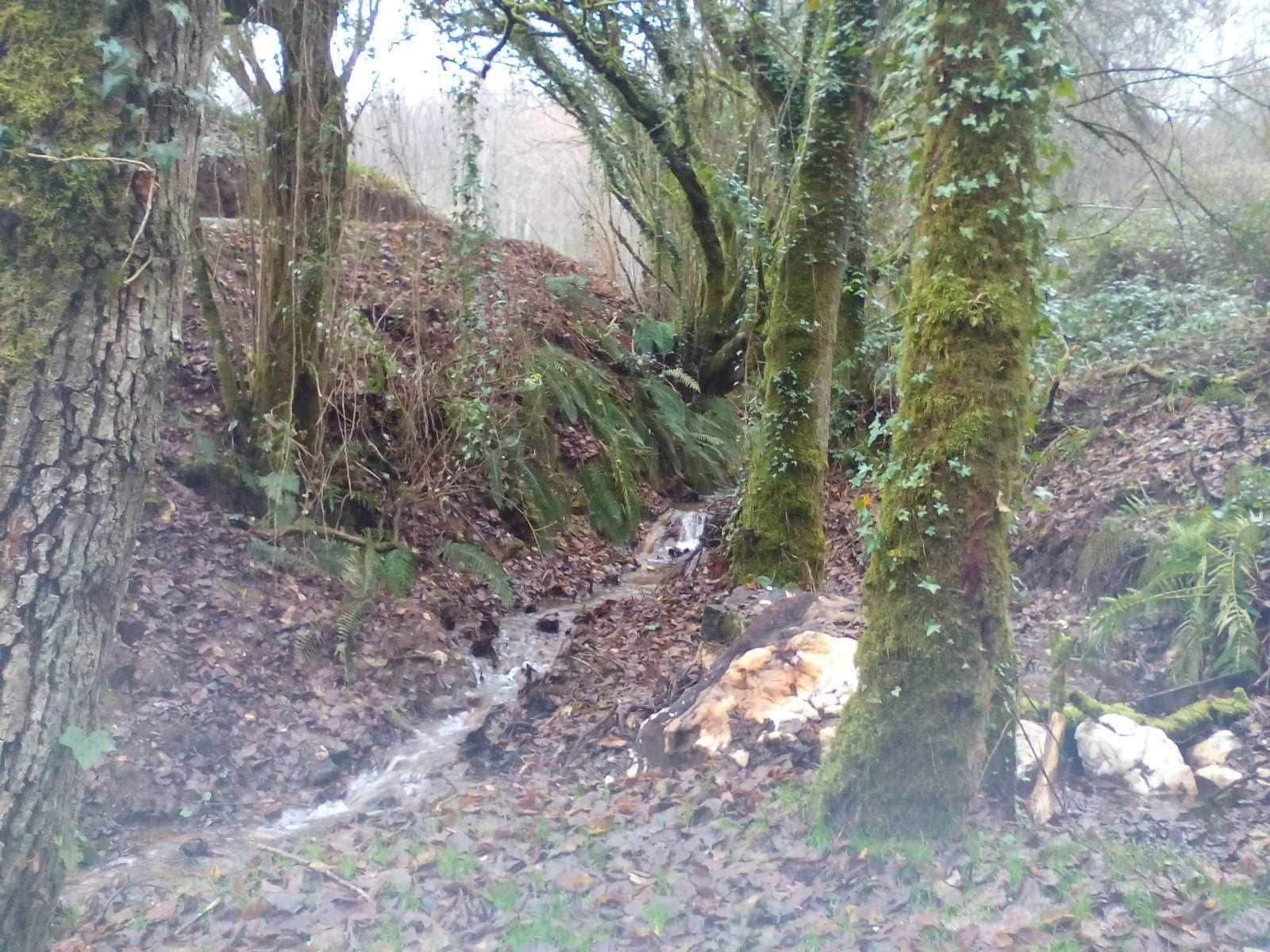 Foto - Pazo de Bendoiro