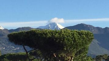 Un paisaje montañoso con un árbol destacado en primer plano y un pico nevado al fondo.
