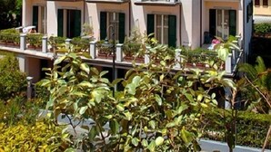 Um edifício de vários andares com sacadas, persianas verdes e plantas em vasos.