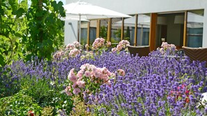 A garden with various flowers and a white umbrella. - WeinKulturgut Longen-Schlöder (Longuich)