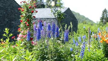 A garden with various flowers and a stone building in the background.
