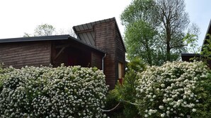A rustic wooden cabin with a sloped roof, surrounded by dense clusters of white flowering bushes.