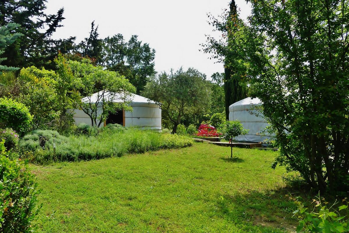 Un espacio al aire libre tranquilo con yurtas rodeadas de exuberante vegetación y árboles.