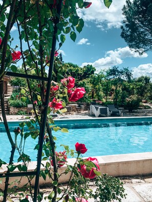 Seasonal outdoor pool - Mas Escombelle Chambre d'Hôte (Barjac)