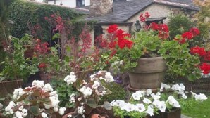 A garden with various potted plants and a stone chimney. - A Cortiña de Canalarrana (Ribadeo)