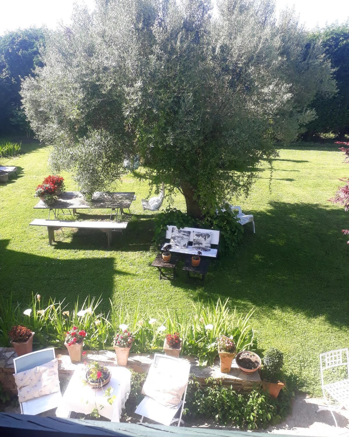 Un jardí amb un arbre gran, taules de picnic i plantes en testos.