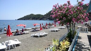 Une plage avec des chaises longues blanches et des parasols rouges, un ciel dégagé et un arbre aux fleurs roses.