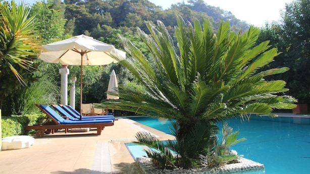 Un espace piscine agrémenté de chaises longues et de parasols, entouré d’une végétation luxuriante et surplombé d’un ciel bleu azur.