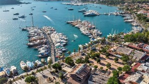 Un port de plaisance où sont amarrés de nombreux bateaux, entouré de bâtiments résidentiels et d’une végétation luxuriante.