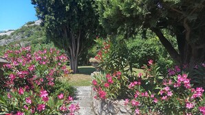 Un camino de piedra que atraviesa un jardín con flores rosas y árboles.