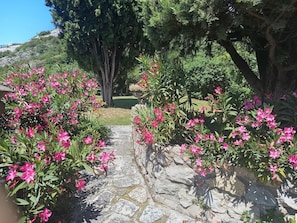 A stone pathway leading through a garden with pink flowers and trees.