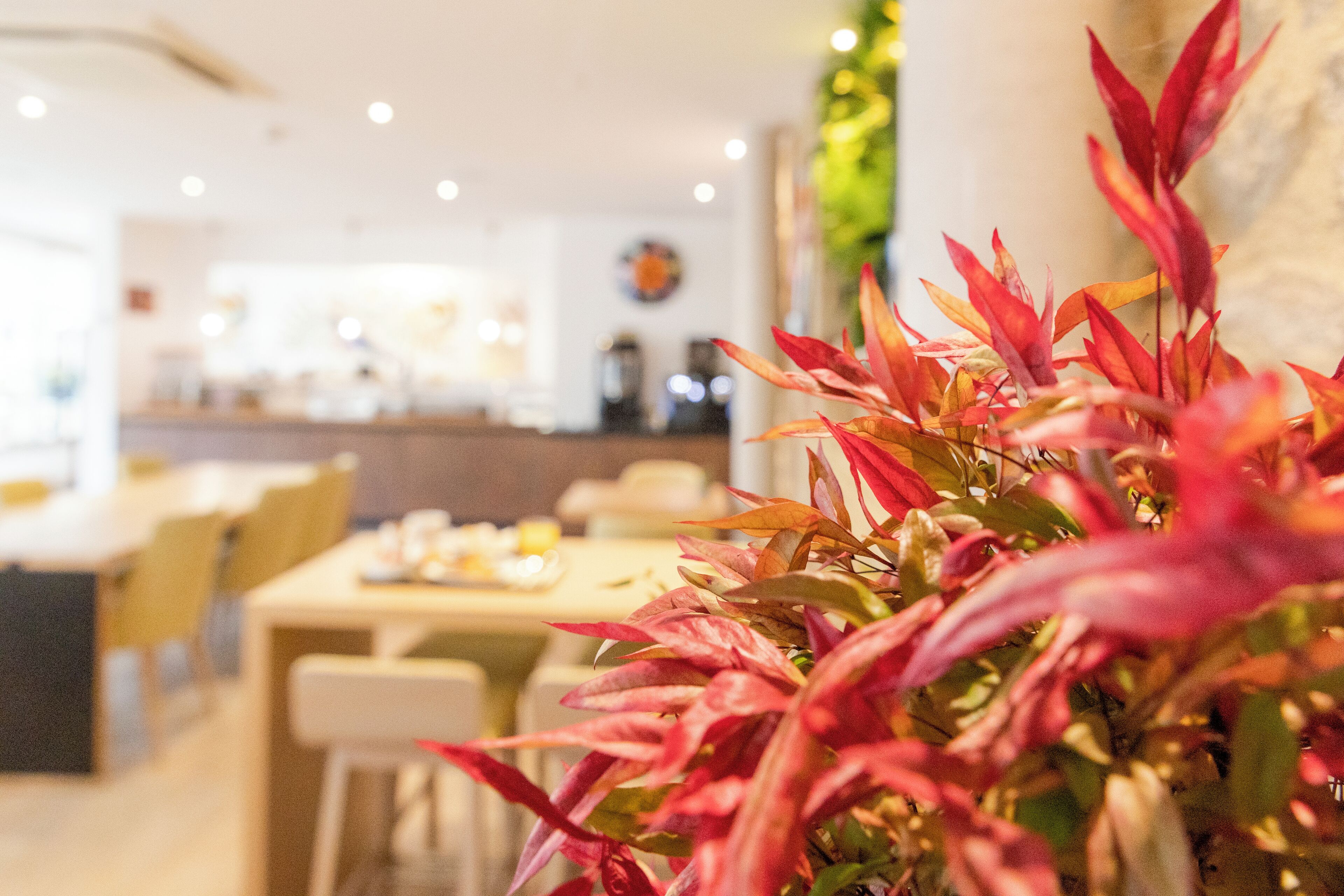 Interior de un restaurante con comedor, mesas, sillas y una planta decorativa al frente.