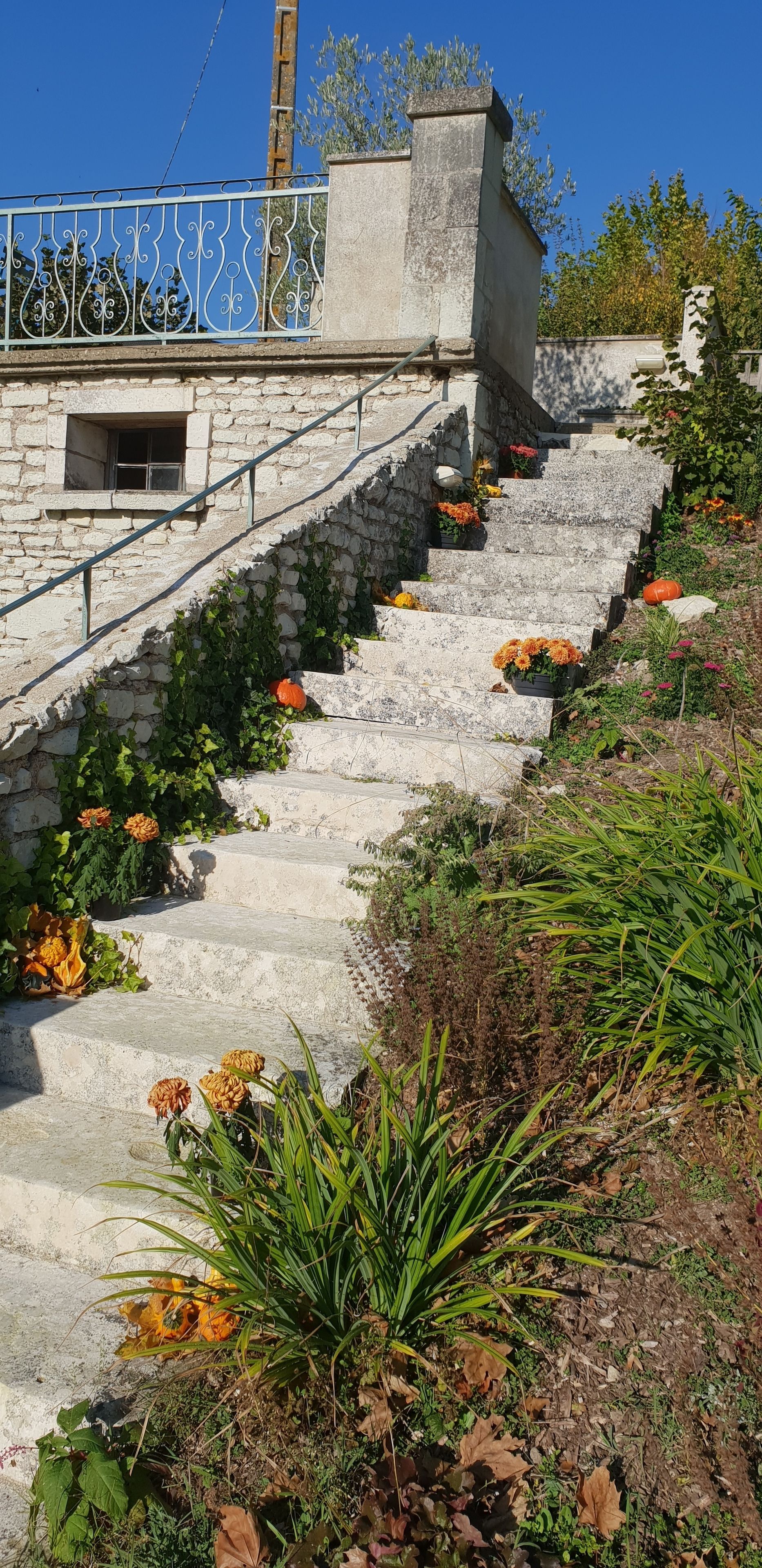 Una escalera de piedra con flores anaranjadas y follaje verde, que conduce a un edificio con barandilla metálica y una ventana.