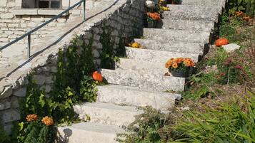 Una escalera de piedra con flores anaranjadas y follaje verde, que conduce a un edificio con barandilla metálica y una ventana.