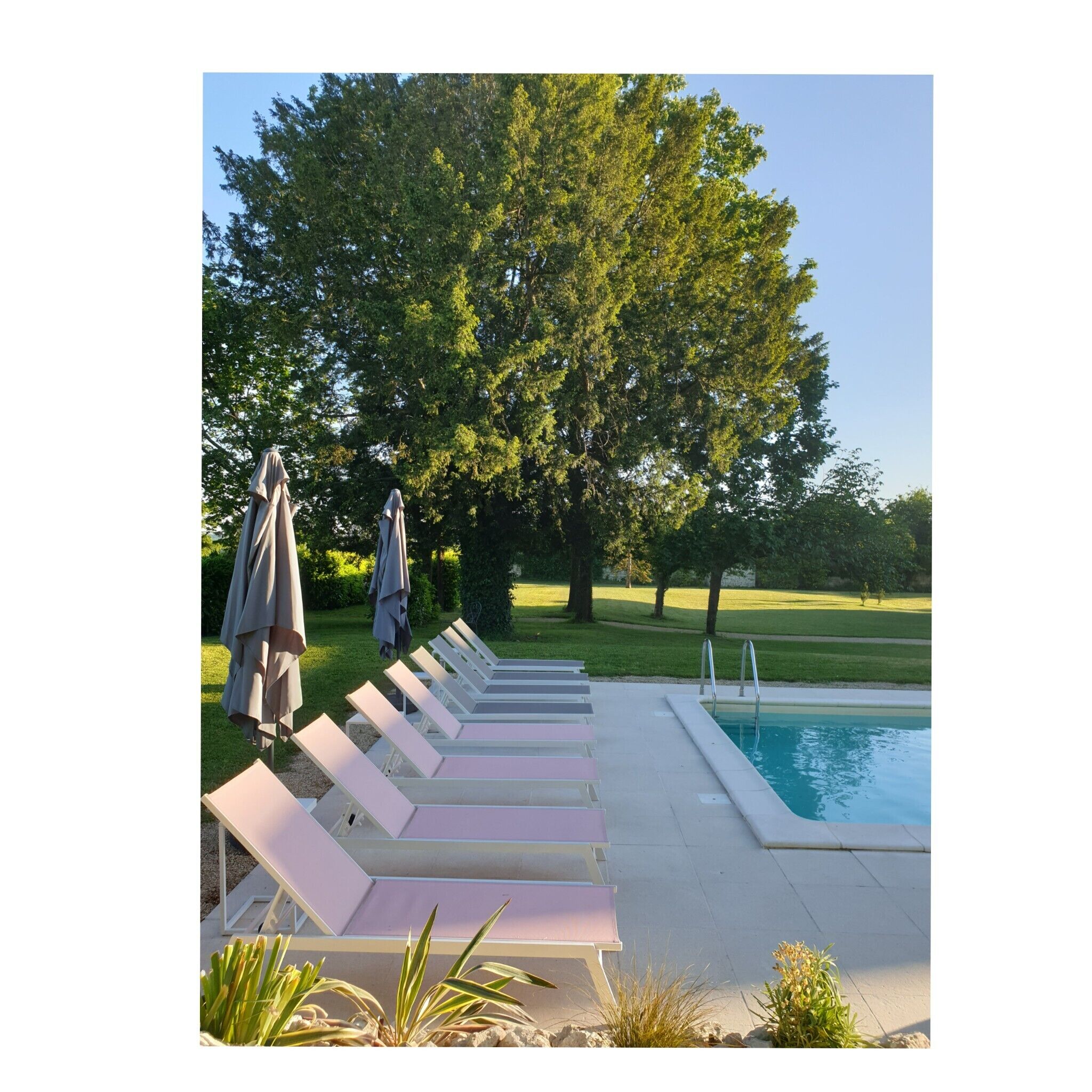 Un área junto a la piscina con sillones de descanso y sombrillas, rodeada de árboles y un cielo despejado.