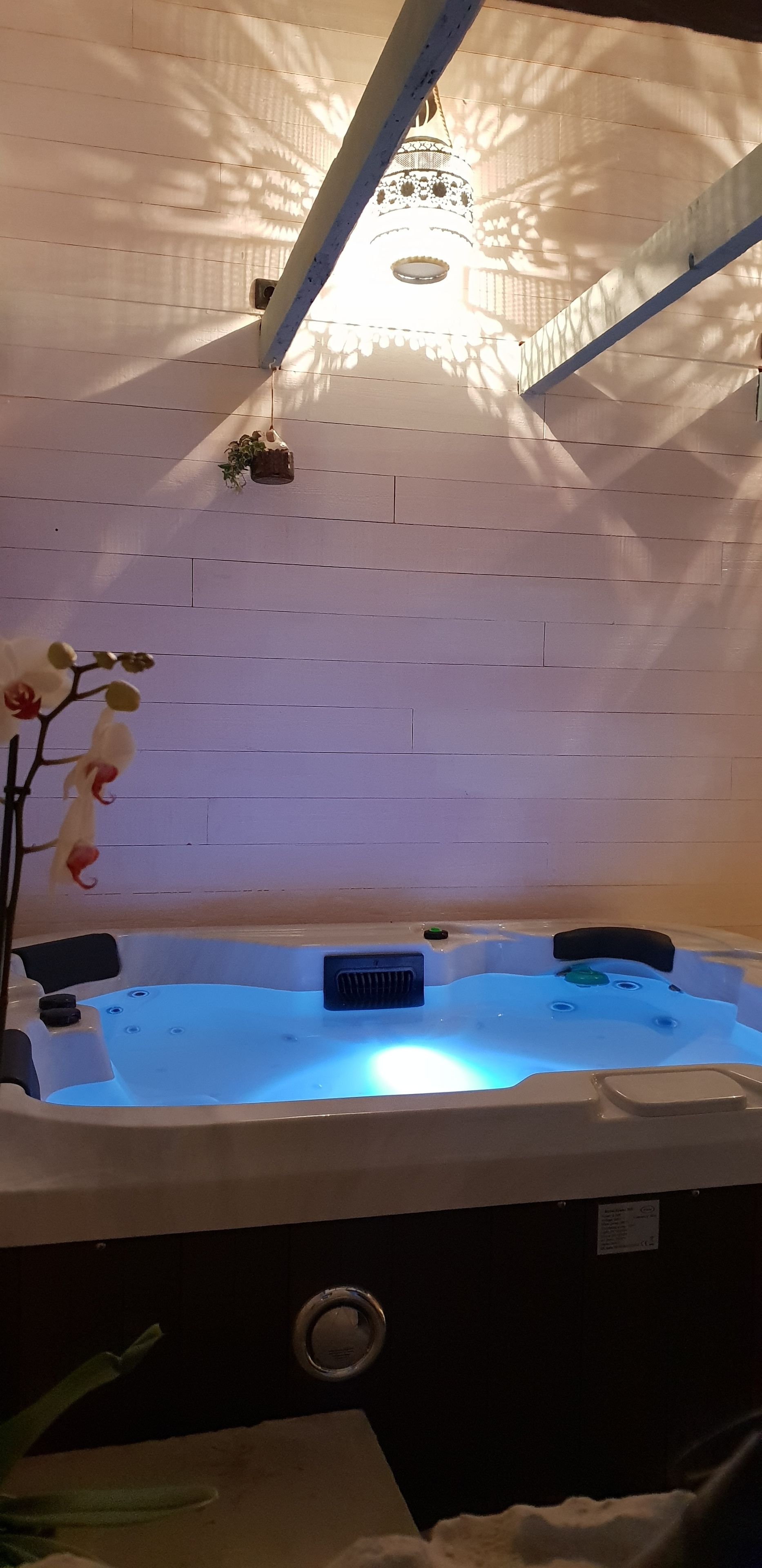A hot tub with a blue light, a ceiling fan, and a wall-mounted light fixture.