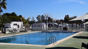 A swimming pool with a white fence, lounge chairs, and a palm tree.