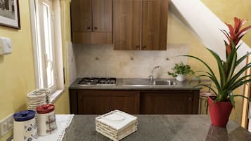 Apartment, Private Bathroom, City View | Shared kitchen