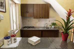 Departamento, baño privado, vista a la ciudad | Cocina compartida