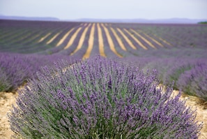 Randonnée