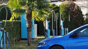 Un coche azul estacionado en una estación de carga, con una palmera y un cuadro eléctrico azul al fondo.