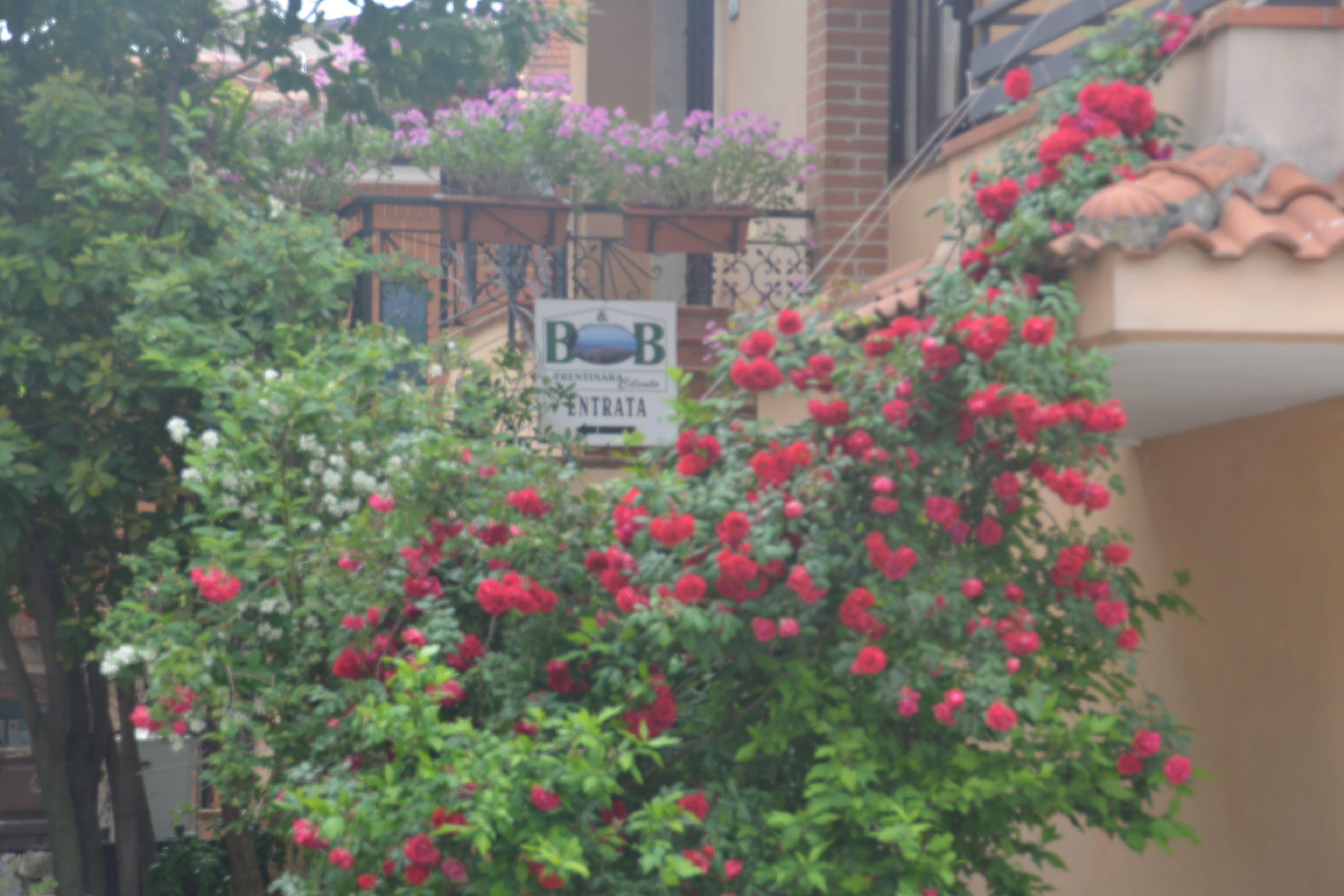 A building with a sign that reads "BOB ENTRATA".