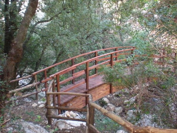 A wooden bridge in a forested area with natural surroundings.