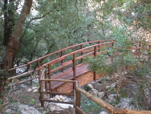 Wandern