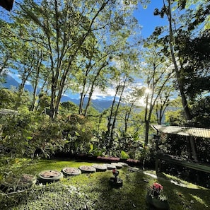 A lush garden with a variety of plants and a circular arrangement of tires.