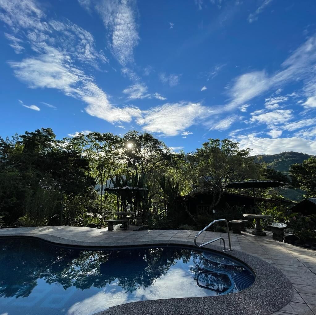 A swimming pool with a clear view of the surrounding trees and a distant mountain range.