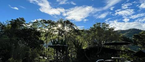 A swimming pool with a clear view of the surrounding trees and a distant mountain range.