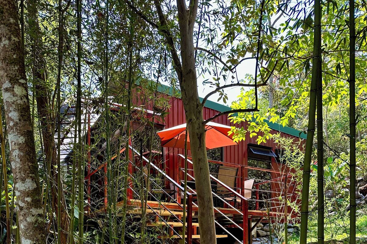 Una escalera de piedra conduce a un edificio rojo con techo verde, rodeado de bambú y otra vegetación.