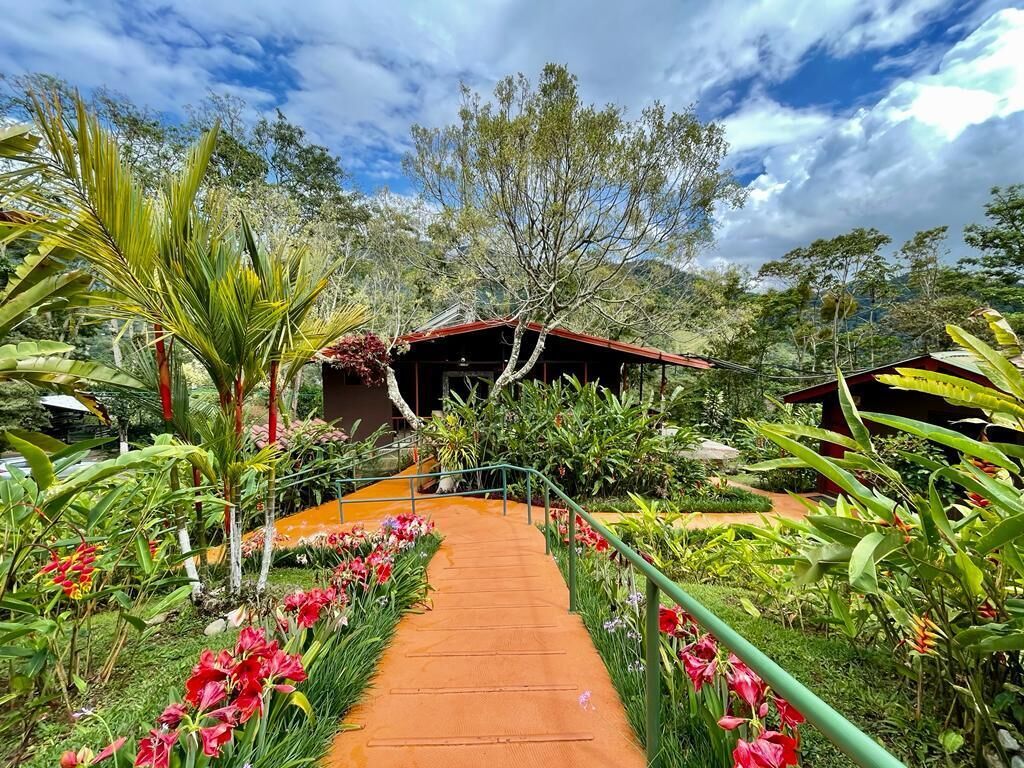 A pathway leading to a building surrounded by lush greenery and flowering plants.